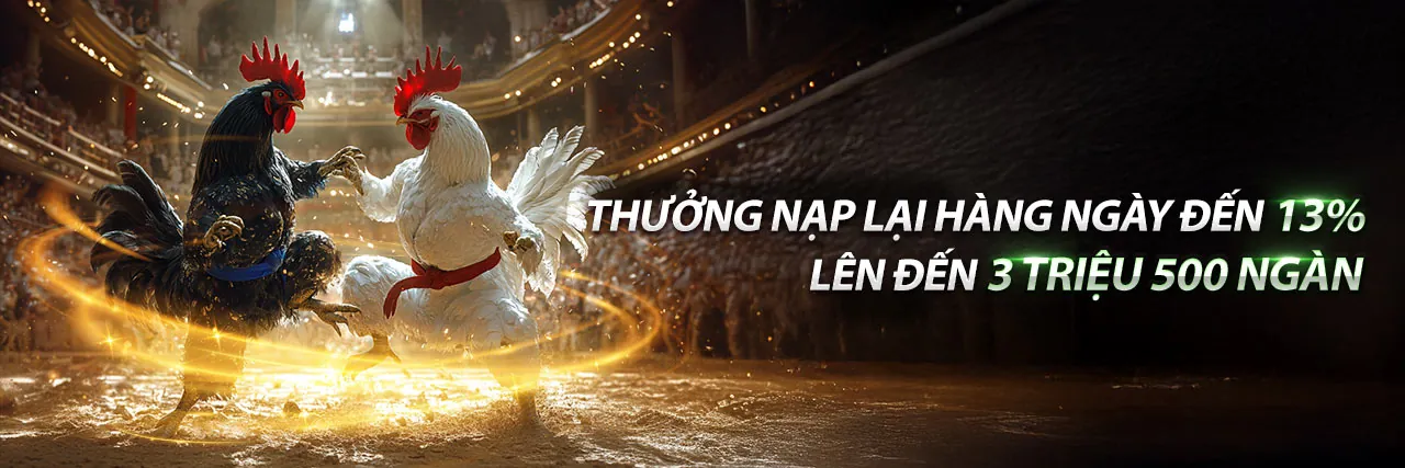 Đá Gà Thomo667 Đăng Nhập - Trải nghiệm cá cược đá gà trực tuyến đỉnh cao